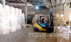 Song hành lợi ích và thách thức