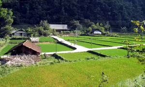 Tuyên Quang 