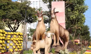 TP Hồ Chí Minh