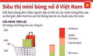 Siêu thị mini bùng nổ ở Việt Nam