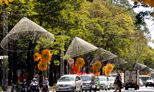 TP Hồ Chí Minh