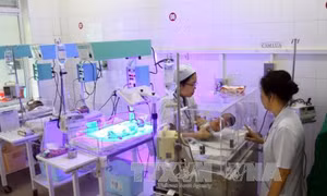 Tiến gần Mục tiêu phát triển thiên niên kỷ về tỷ suất tử vong ở trẻ em