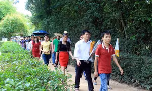 Hân hoan đón Tết Độc lập