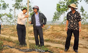 Kon Tum