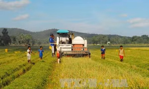 Tăng cường phối hợp giữa Bộ Ngoại giao và Ban chỉ đạo Tây Nam bộ 