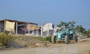 Giải quyết việc làm cho người dân nhường đất xây sân bay Long Thành