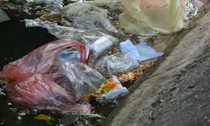 Ao hồ Hà Nội kêu cứu - Bài 1