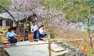 Mùa xuân trên Cao nguyên đá