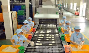 Triển khai giai đoạn mới Dự án dài hạn “Nga - Việt Nam: Nền kinh tế mới” 