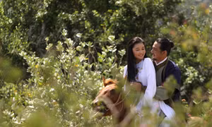 “Mỹ Nhân”- phim chính sử của điện ảnh Việt 