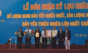 Tp Hồ Chí Minh 