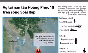Đồ họa vụ tàu Hoàng Phúc 18 chìm trên sông Soài Rạp