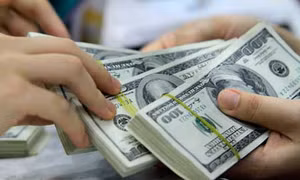 Giá USD sắp chạm trần 