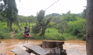 Gia Lai