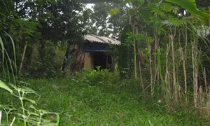 Cao Bằng