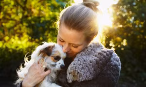 Giải mã 'hormone tình cảm' giữa người và chó 