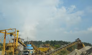 Phước Hoà Fico - không ngừng phát triển