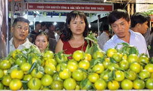 Xuất khẩu rau quả nhiều triển vọng