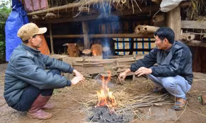 Bắc Bộ nhiệt tăng dần, vùng núi vẫn rét đậm, rét hại 