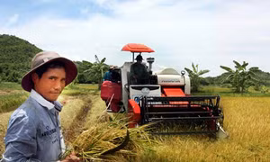 Chamaleá Hơ làm kinh tế giỏi