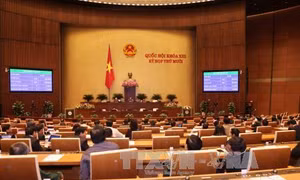 Quốc hội thông qua dự thảo Bộ luật Hình sự (sửa đổi)