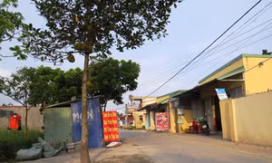 Hải Phòng
