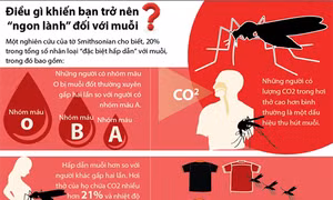 Điều gì khiến bạn trở nên “ngon lành” với muỗi?