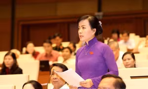 Thảo luận nội dung còn vướng mắc của dự thảo Bộ luật dân sự