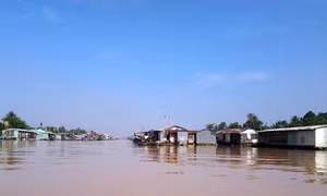 Cuộc sống làng cá bè Tân Mai - Biên Hòa