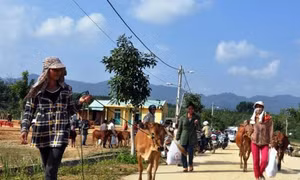 Bắc Kạn
