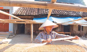 Miến dong Nguyễn Huệ, Cao Bằng