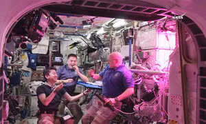 Các nhà du hành vũ trụ lần đầu nếm thử rau trồng trên ISS 