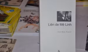 Chiếu phim tài liệu về nạn nhân da cam Việt Nam tại Pháp 
