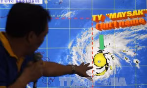 Bão Maysak có khả năng đổi hướng