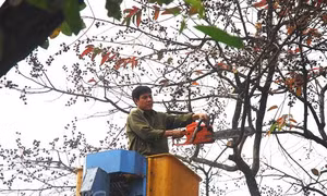 Hà Nội