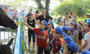Sân chơi Vườn thú diệu kỳ cho trẻ em