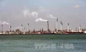 Dự trữ dầu thô của Mỹ cao kỷ lục kéo giá dầu đi xuống 