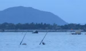 Thái Bình