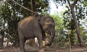 Đắk Lắk