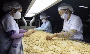 Người khấp khởi, kẻ kém vui