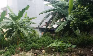 Bảo đảm quyền lợi người dân trong vụ giao đất trái thẩm quyền 