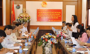 Giám sát việc thực hiện chính sách, pháp luật tại địa bàn chiến lược 