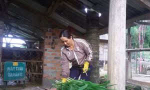 Chị H'Nha Niê làm kinh tế giỏi