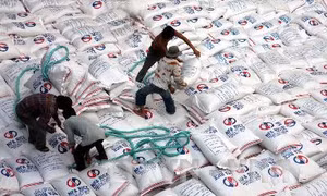 Đưa gạo Việt Nam trở thành thương hiệu hàng đầu thế giới 