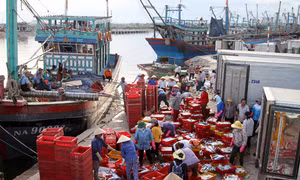 Hỗ trợ ngư dân đóng tàu vươn khơi, bám biển - Bài cuối