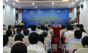 Chia sẻ kinh nghiệm chống xói lở cửa sông, bờ biển 