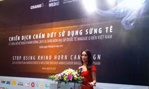 Sao thế giới kêu gọi chấm dứt sử dụng sừng tê giác