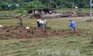 Công điện yêu cầu khẩn trương khắc phục hậu quả bão số 1 