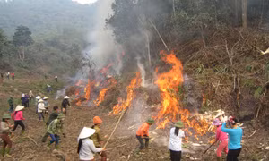 Lào Cai