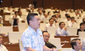 Cơ bản nhất trí với phần trả lời của Bộ trưởng Bộ Công Thương 